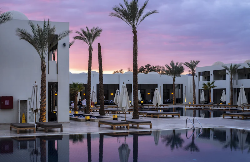 Palm-lined resort pool at dusk